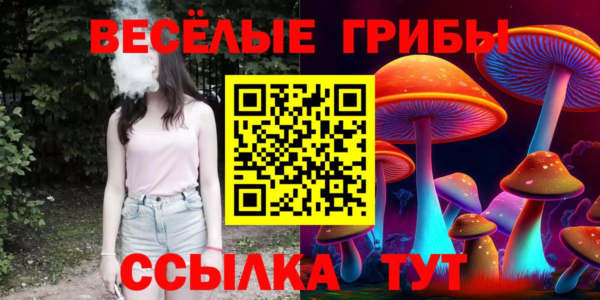 Борисоглебск  наркота  Вход с VPN  Псилоцибиновые грибы прущие грибы 