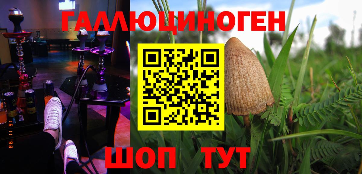 Галлюциногенные грибы Cubensis Борисоглебск